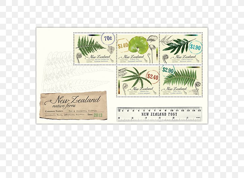 Ferns Of New Zealand Silver Fern Burknar, PNG, 600x600px, New Zealand, Asplenium, Botany, Burknar, Currency Download Free