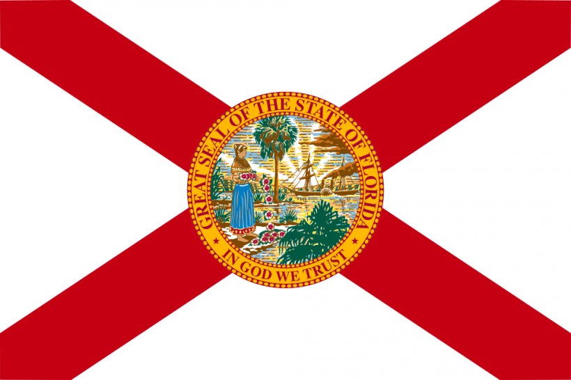 Flag Of Florida Confederate States Of America State Flag, PNG, 1000x667px, Florida, Confederate States Of America, Flag, Flag Of Florida, Flag Of The United States Download Free
