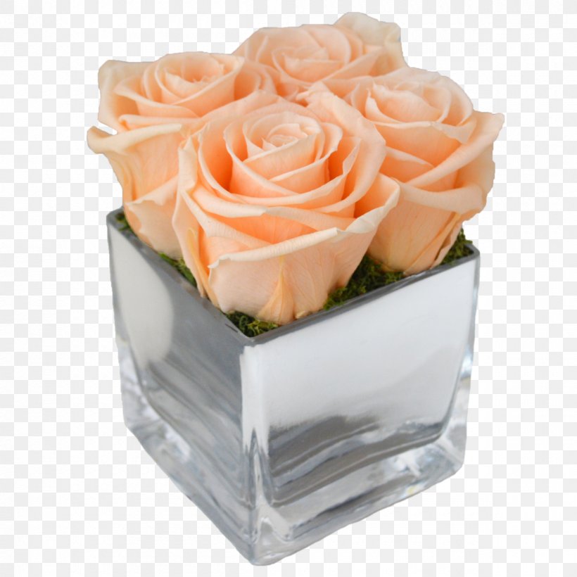 Garden Roses Cut Flowers Four Roses, PNG, 1200x1200px, Garden Roses, Buttercream, Cream, Cube, Cut Flowers Download Free