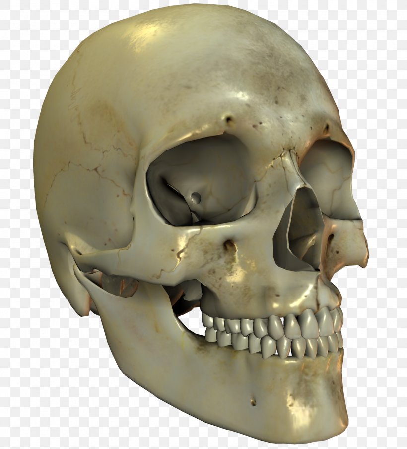 Skull Bone Skeleton Jaw, PNG, 1450x1600px, Skull, Blood, Bone, Deviantart, Furniture Download Free