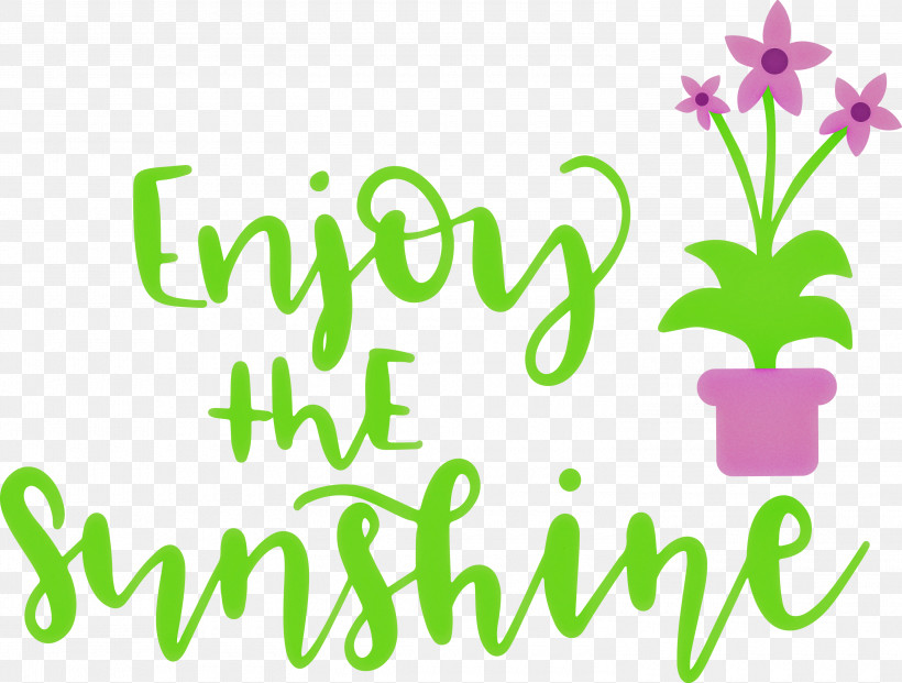 Sunshine Enjoy The Sunshine, PNG, 3000x2272px, Sunshine, Floral Design, Green, Happiness, Leaf Download Free