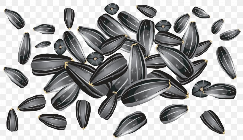 Common Sunflower Clip Art Sunflower Seed, PNG, 2299x1332px, Common Sunflower, Black And White, Food, Fruit, Monochrome Download Free
