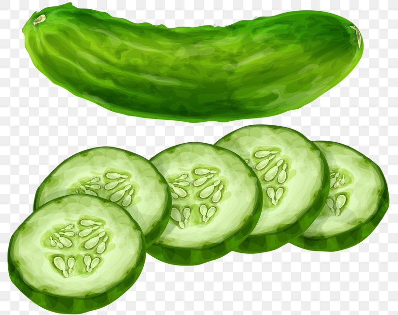 Cucumber Vegetable Clip Art, PNG, 800x649px, Cucumber, Computer, Cucumber Gourd And Melon Family, Cucumis, Food Download Free