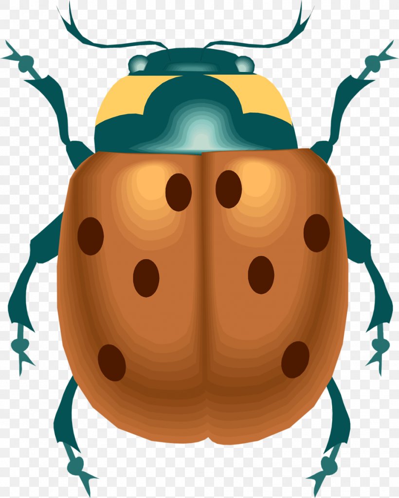 ECOPEST ENVIRONMENTAL CONSULTANCY Ladybird Pest Control Clip Art, PNG, 958x1196px, Ecopest Environmental Consultancy, Beetle, Harlequin Ladybird, Insect, Integrated Pest Management Download Free