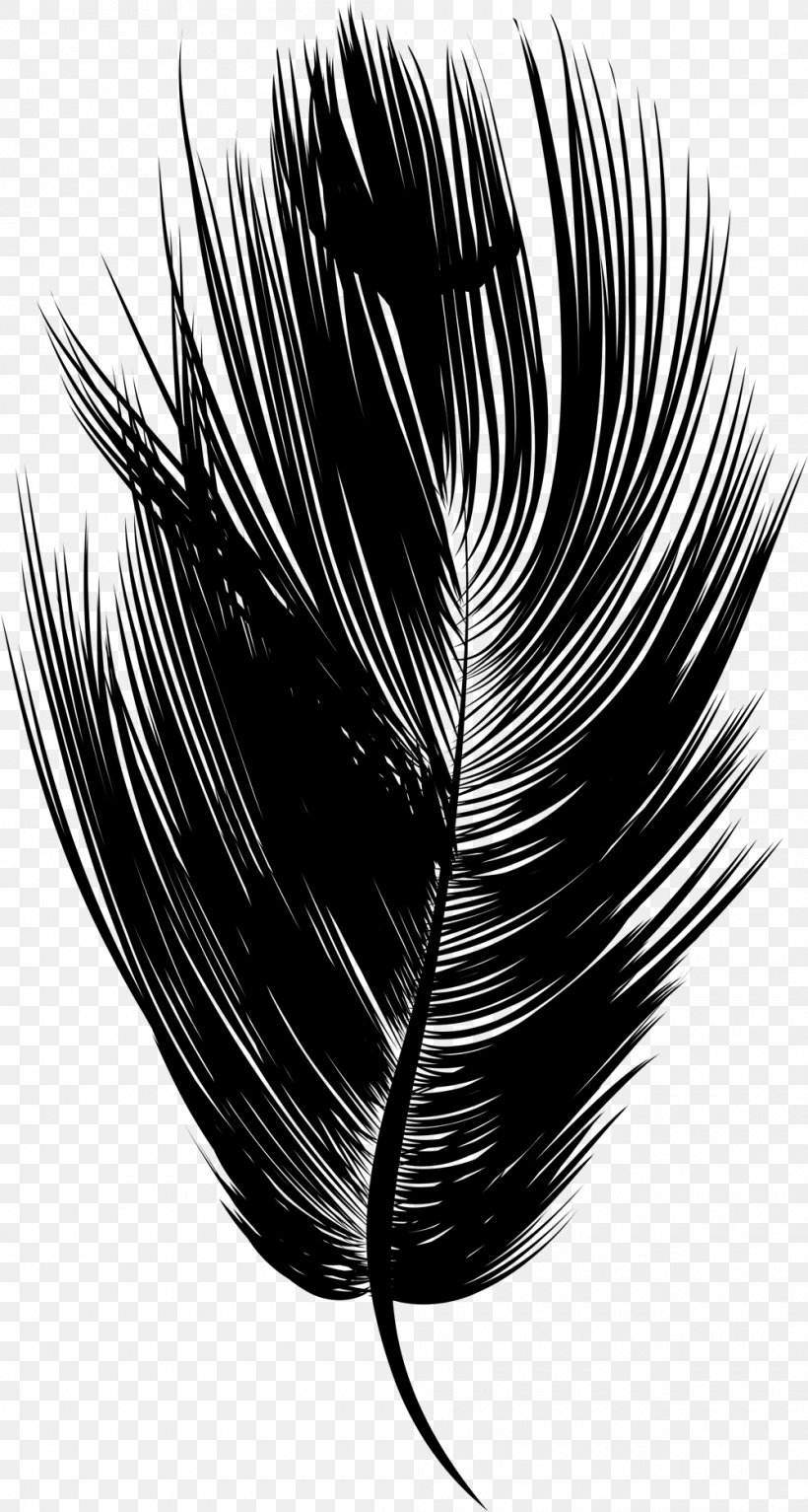 Eyelash Feather Line Black M, PNG, 1000x1870px, Eyelash, Black, Black Hair, Black M, Blackandwhite Download Free