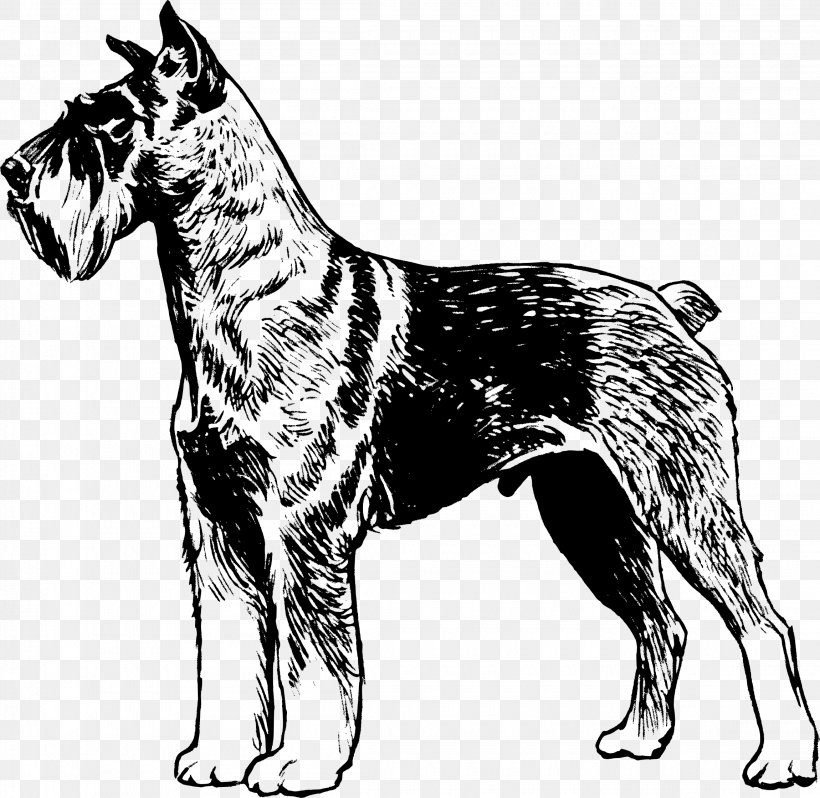 Miniature Schnauzer Puppy Clip Art, PNG, 2300x2240px, Miniature Schnauzer, Ancient Dog Breeds, Autocad Dxf, Black And White, Carnivoran Download Free