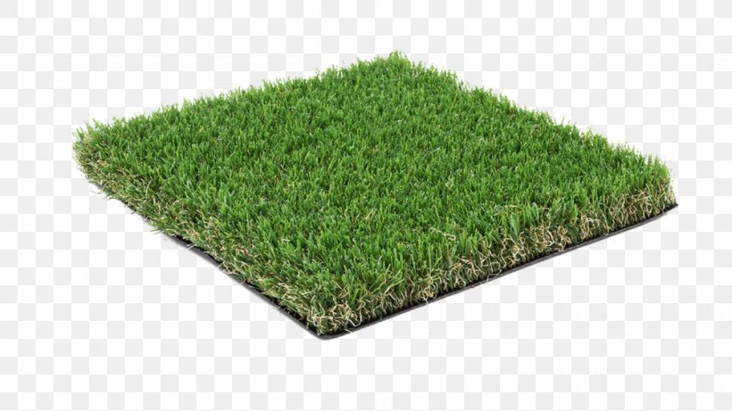 Artificial Turf Trulawn Garden Fitness Centre, PNG, 1000x563px, Artificial Turf, Fitness Centre, Garden, Grass, Grass Family Download Free