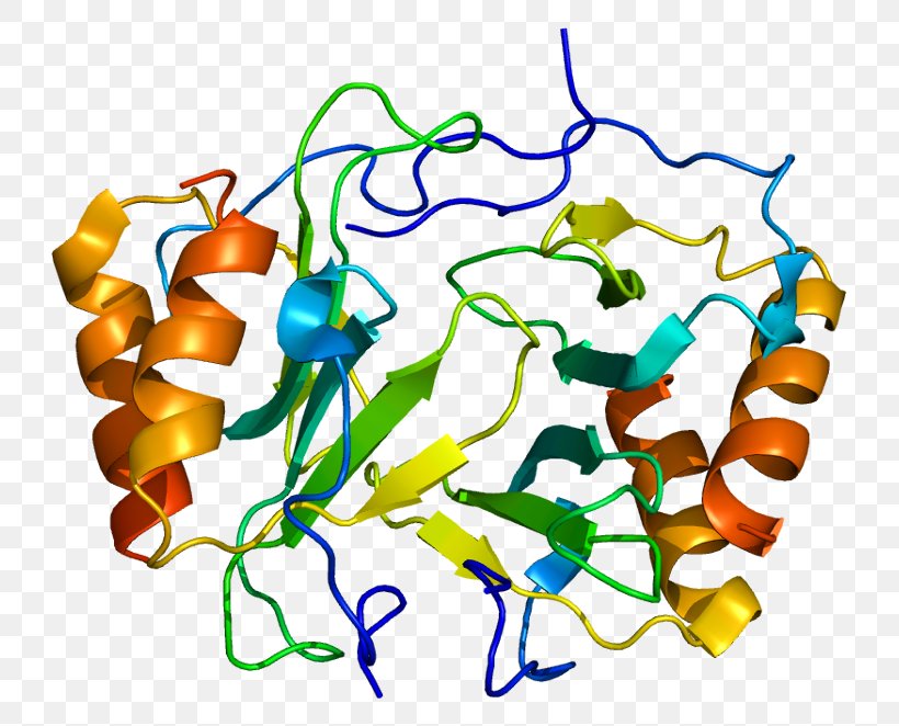 Platelet Factor 4 Chemokine Cytokine Beta-thromboglobulin, PNG, 775x662px, Chemokine, Artwork, Cxc Chemokine Receptors, Cytokine, Heparin Download Free
