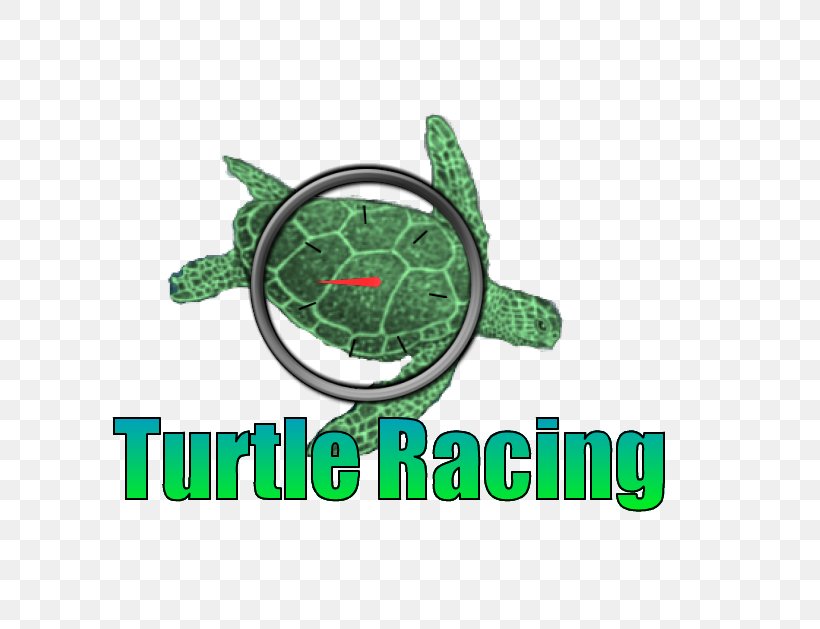 Turtle Logo Brand Green, PNG, 721x629px, Turtle, Brand, Green, Logo Download Free