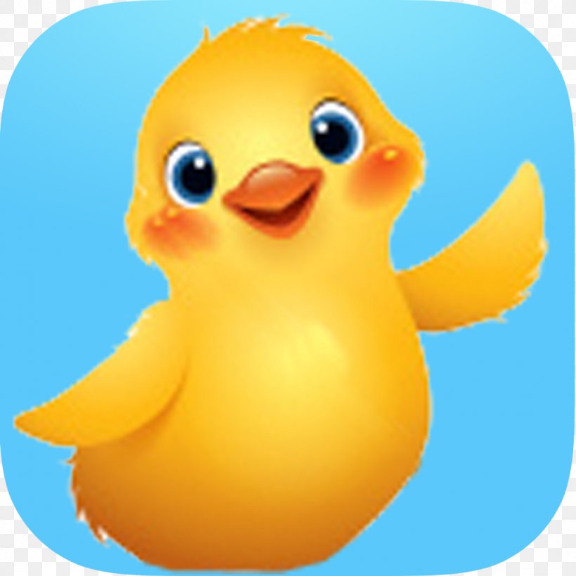 Duck Water Bird Chicken Goose, PNG, 1024x1024px, Duck, Anatidae, Animal, Beak, Bird Download Free