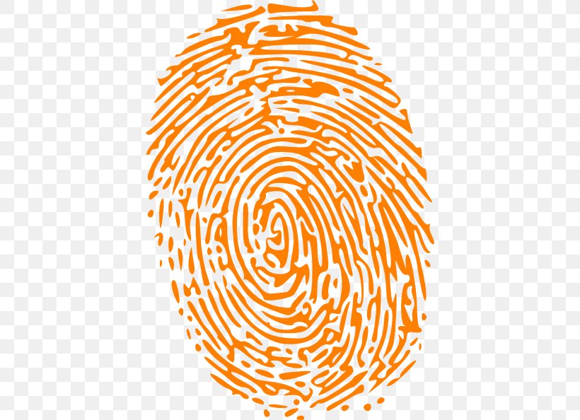 Fingerprint Detective Light Clip Art, PNG, 408x594px, Fingerprint, Area, Commodity, Finger, Fingerprint Detective Download Free