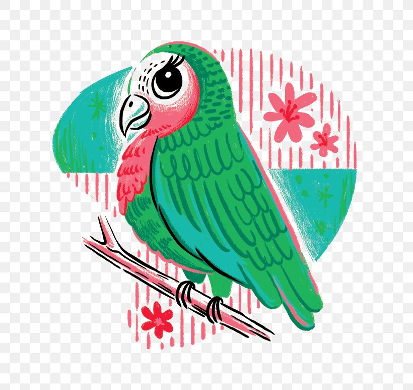 Parrot Bird Drawing Illustration, PNG, 750x773px, Parrot, Art, Beak, Bird, Common Pet Parakeet Download Free
