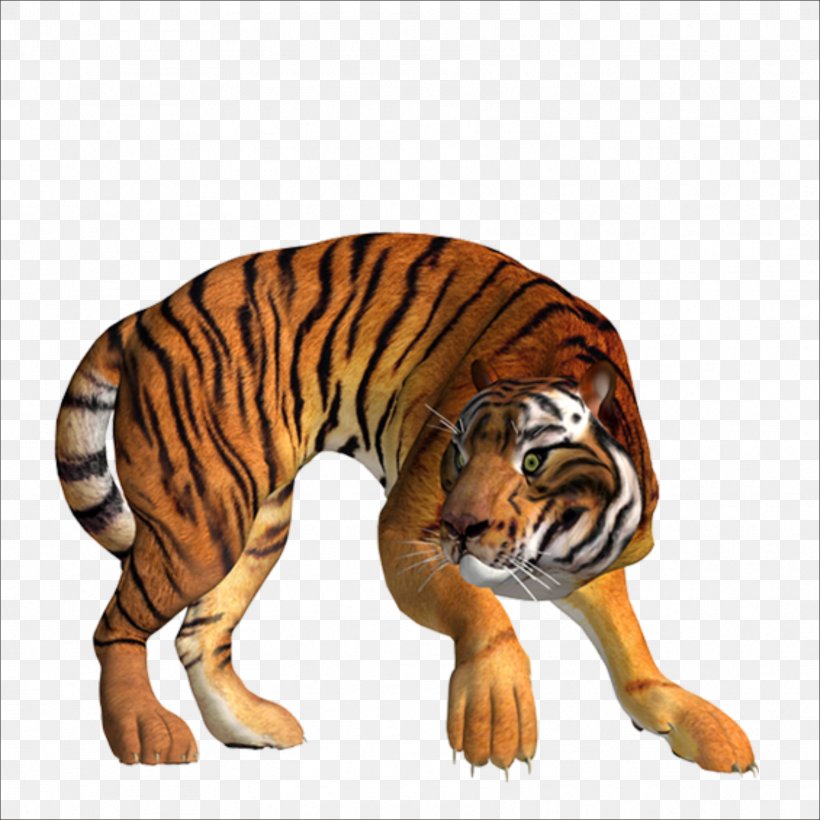 Tiger Clip Art, PNG, 1773x1773px, Tiger, Big Cats, Carnivoran, Cat Like Mammal, Computer Graphics Download Free