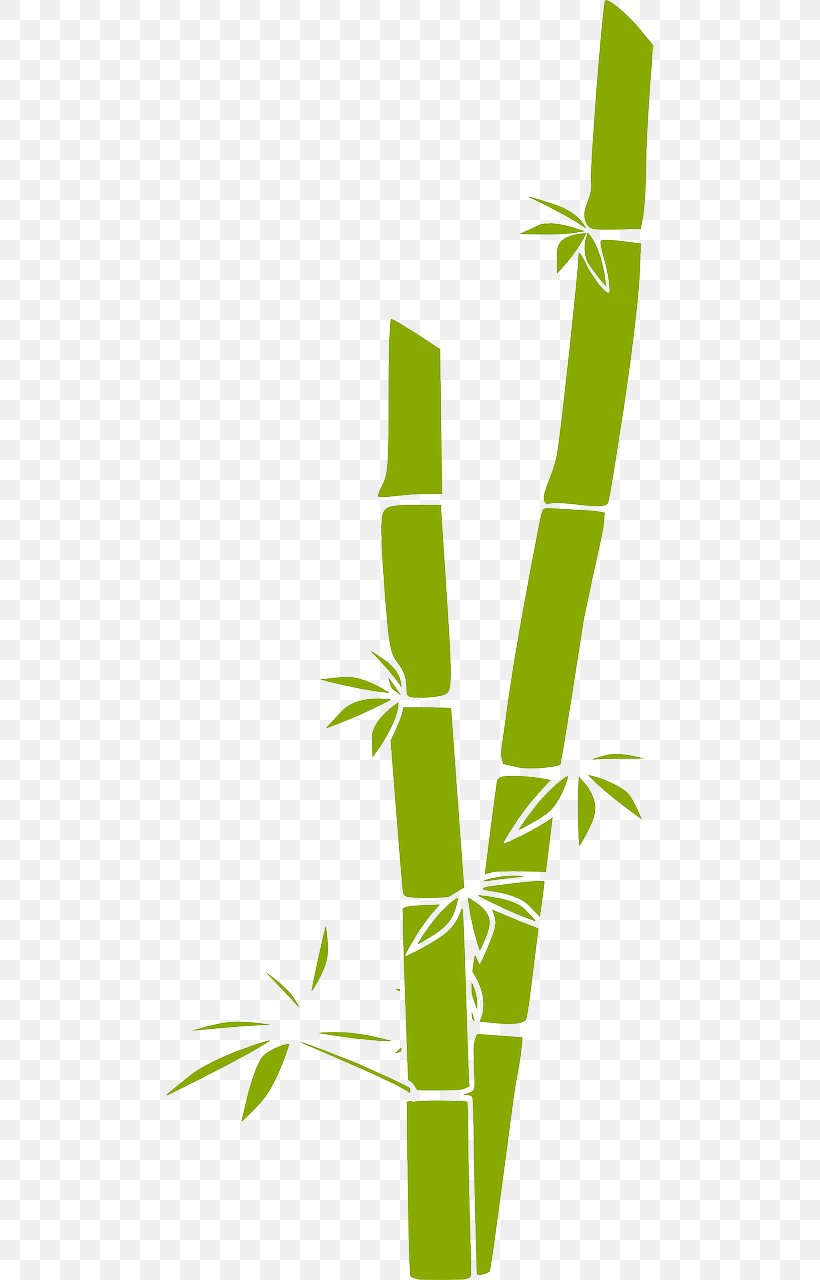 Bamboo Clip Art, PNG, 640x1280px, Bamboo, Computer Software, Drawing, Grass, Grass Family Download Free