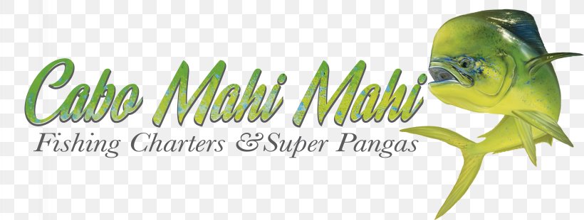 Cabo Mahi-Mahi Sportfishing Mahi-mahi Fishing Macaw, PNG, 4916x1860px, Mahimahi, Beak, Bird, Brand, Cabo San Lucas Download Free