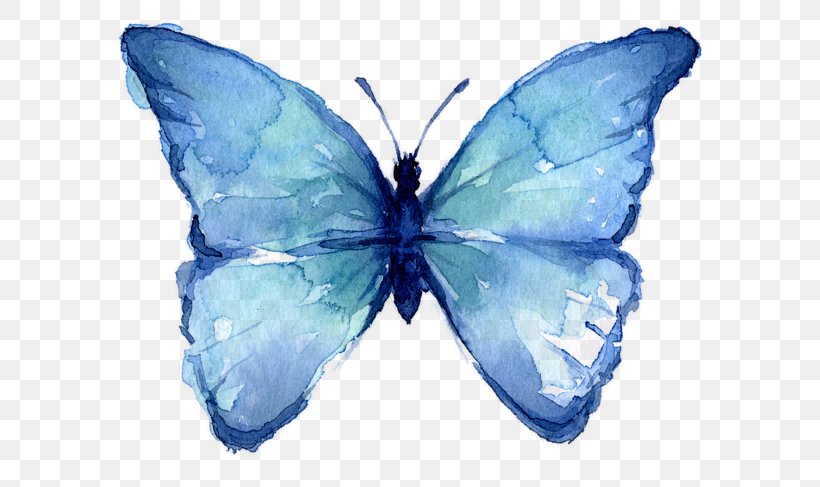 Canvas Print Butterfly Watercolor Painting Art, PNG, 600x487px, Canvas Print, Abstract Art, Art, Artist, Azure Download Free