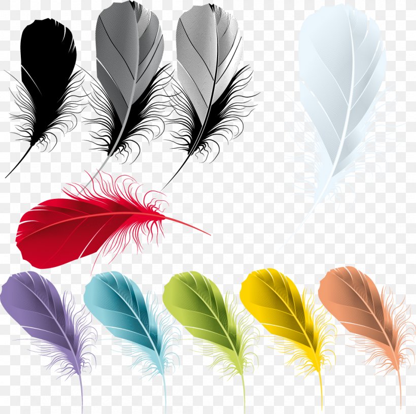 Feather Drawing, PNG, 1100x1095px, Feather, Art, Brush, Color, Drawing Download Free
