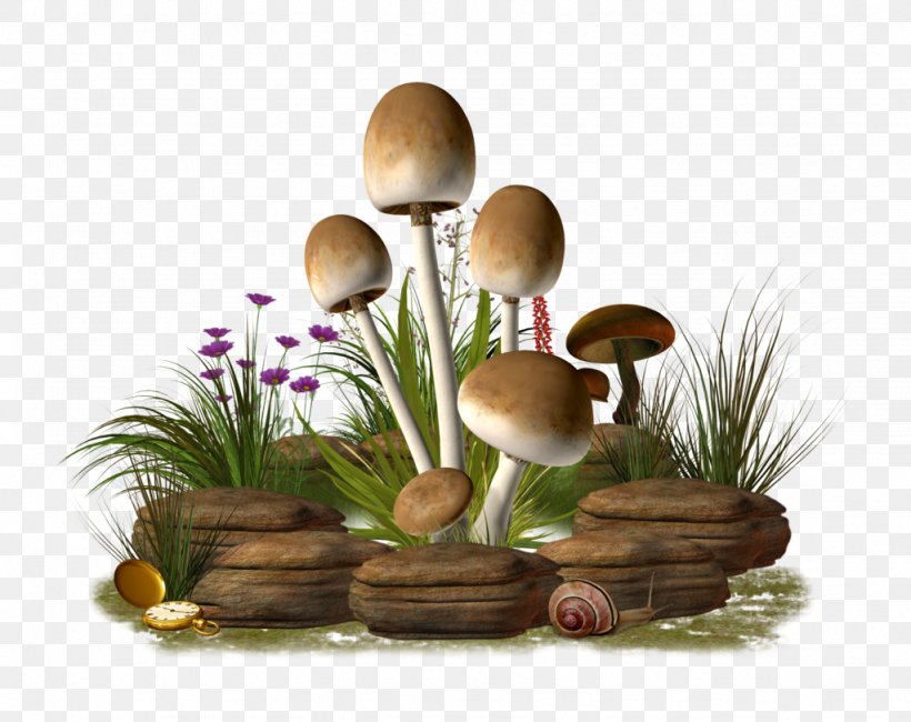 Mushroom Clip Art, PNG, 1024x812px, Mushroom, Alice In Wonderland, Flower, Flowerpot, Grass Download Free