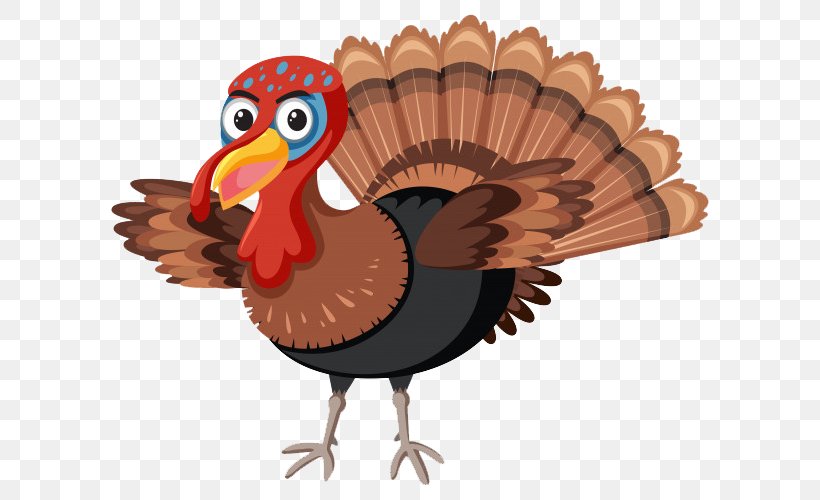 Turkey Thanksgiving Cartoon, PNG, 626x500px, Royaltyfree, Art, Beak, Bird, Cartoon Download Free