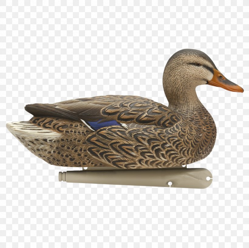 Mallard Duck Decoy Goose, PNG, 1316x1316px, Mallard, Beak, Bird, Decoy, Duck Download Free