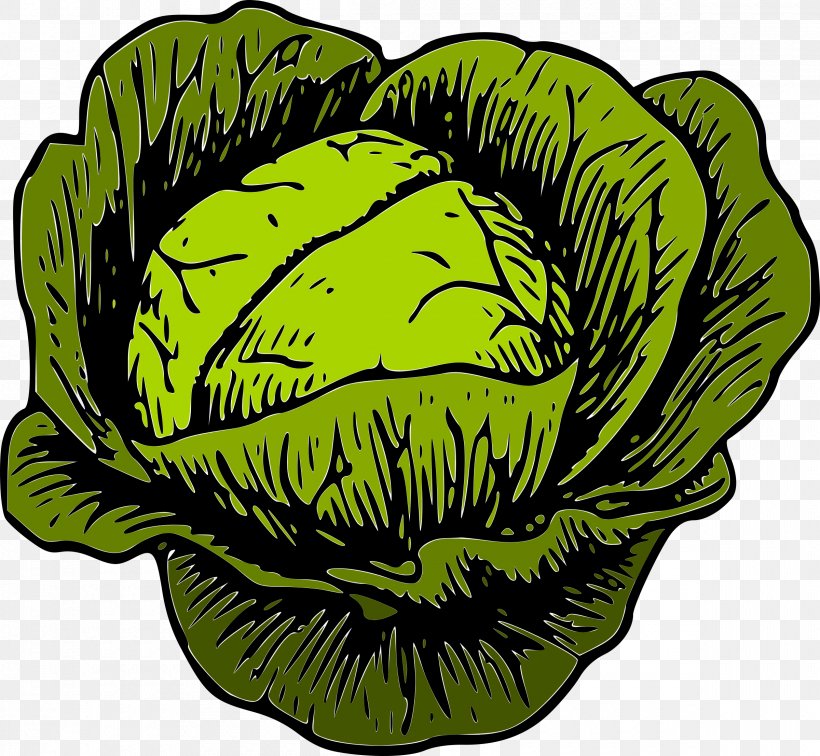 Savoy Cabbage Brussels Sprout Cauliflower Clip Art, PNG, 2400x2214px, Cabbage, Brassica Oleracea, Brussels Sprout, Cauliflower, Chinese Cabbage Download Free