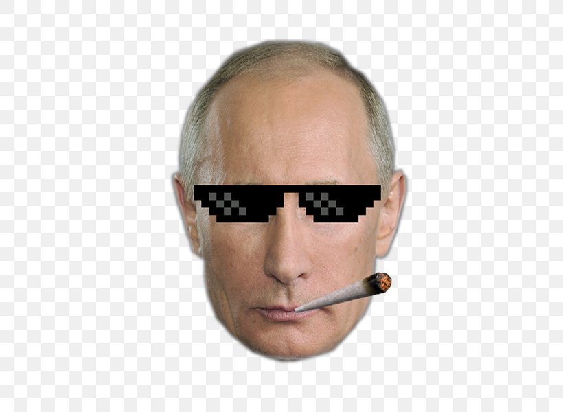 Vladimir Putin Shrek Russia Image Goggles, PNG, 600x600px, Vladimir Putin, Cameron Diaz, Cheek, Chin, Daily Stormer Download Free