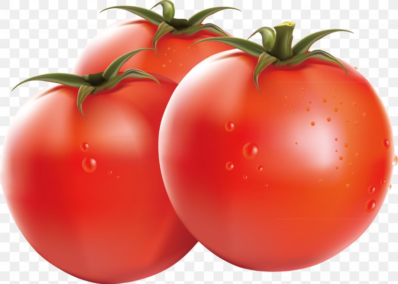 Cherry Tomato Vegetable Tomato Sauce, PNG, 1944x1391px, Cherry Tomato, Bush Tomato, Diet Food, Food, Fruit Download Free