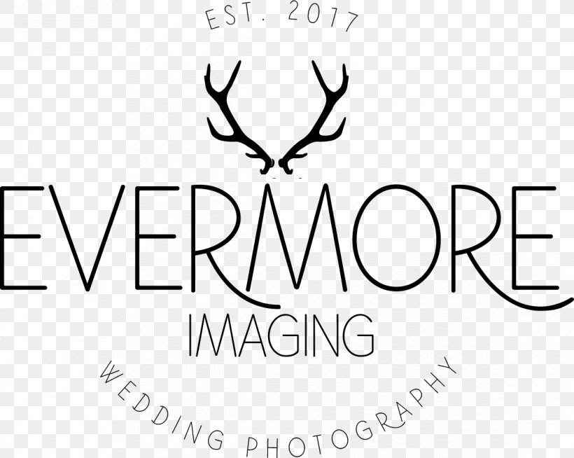 Evermore Imaging Photographer Wedding Photography Light Surrounding You, PNG, 1167x932px, Watercolor, Cartoon, Flower, Frame, Heart Download Free