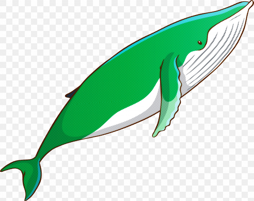 Fin Bottlenose Dolphin Dolphin Cetacea Blue Whale, PNG, 3000x2379px, Watercolor Whale, Blue Whale, Bottlenose Dolphin, Cetacea, Dolphin Download Free