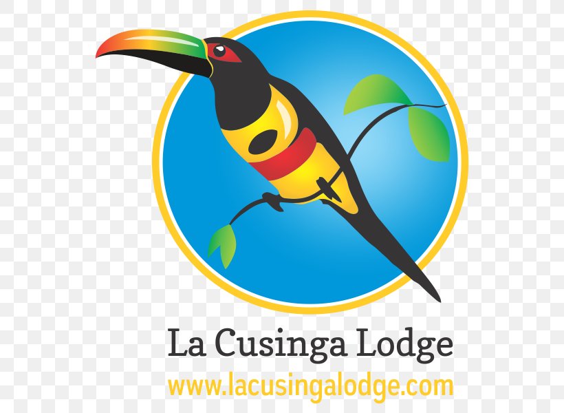 La Cusinga Lodge Uvita Bird Parrot Image, PNG, 600x600px, Uvita, Animal, Aracari, Beak, Bird Download Free