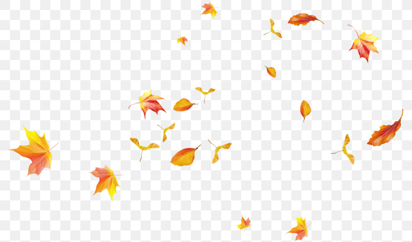 Orange, PNG, 787x483px, Yellow, Leaf, Orange, Petal, Plant Download Free