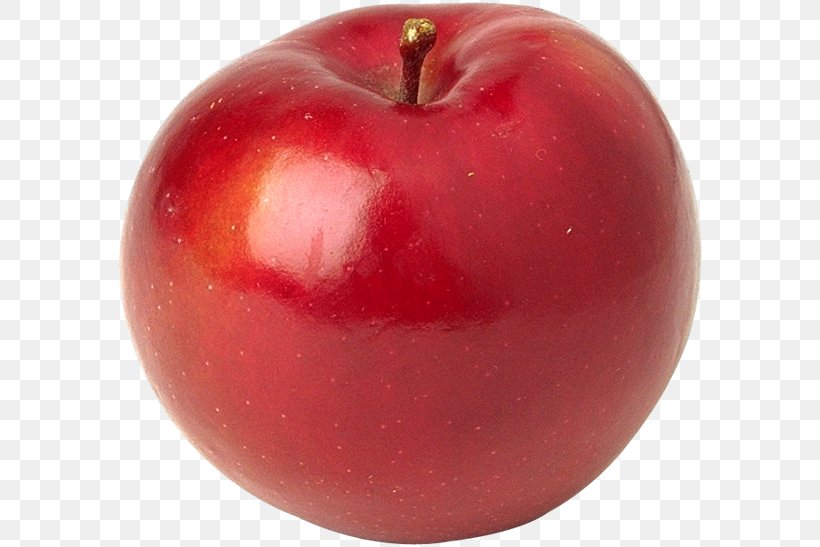 Apple Fruit Tree Orchard Citrus, PNG, 588x547px, Apple, Citrus, Food, Fruit, Fruit Tree Download Free