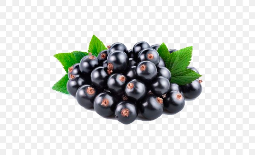 Blackcurrant Redcurrant Fruit Gelatin Dessert Squash, PNG, 500x500px, Blackcurrant, Berry, Bilberry, Blackberry, Blackcurrant Seed Oil Download Free