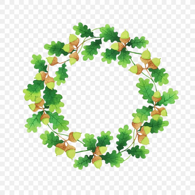 Clip Art Image Download Drawing, PNG, 1024x1024px, Drawing, Flower, Green, Green Ring, Illustrator Download Free