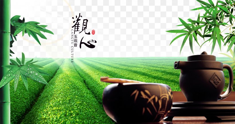 Green Tea Tieguanyin The Classic Of Tea Advertising, PNG, 2953x1559px, Tea, Advertising, Black Tea, Chinese Tea, Classic Of Tea Download Free