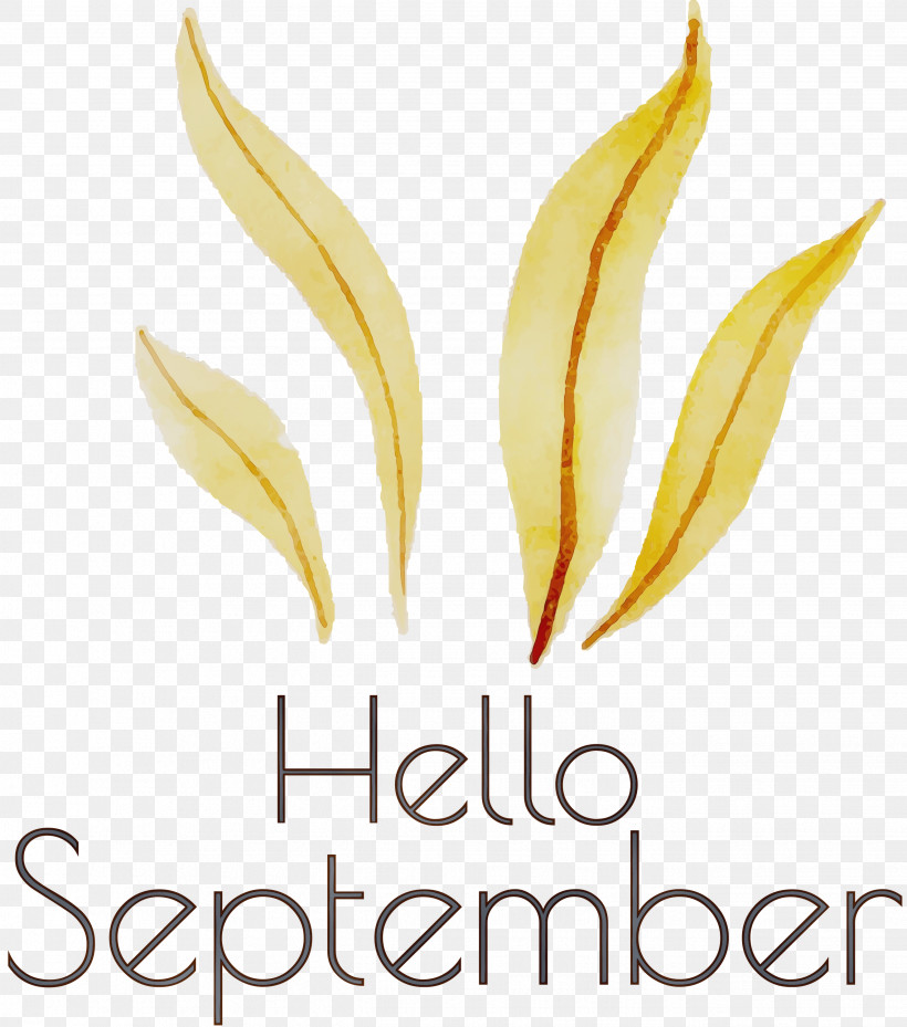 Commodity Font Garden Meter, PNG, 2648x3000px, Hello September, Commodity, Garden, Meter, Paint Download Free