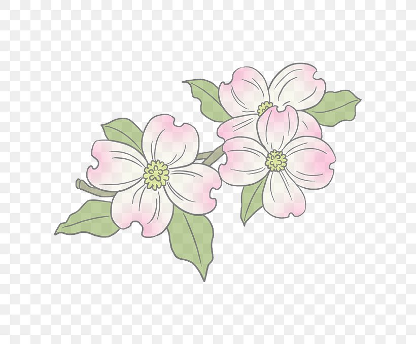 Flower Pink Petal Plant Flowering Plant, PNG, 680x678px, Flower, Blossom, Flowering Plant, Petal, Pink Download Free