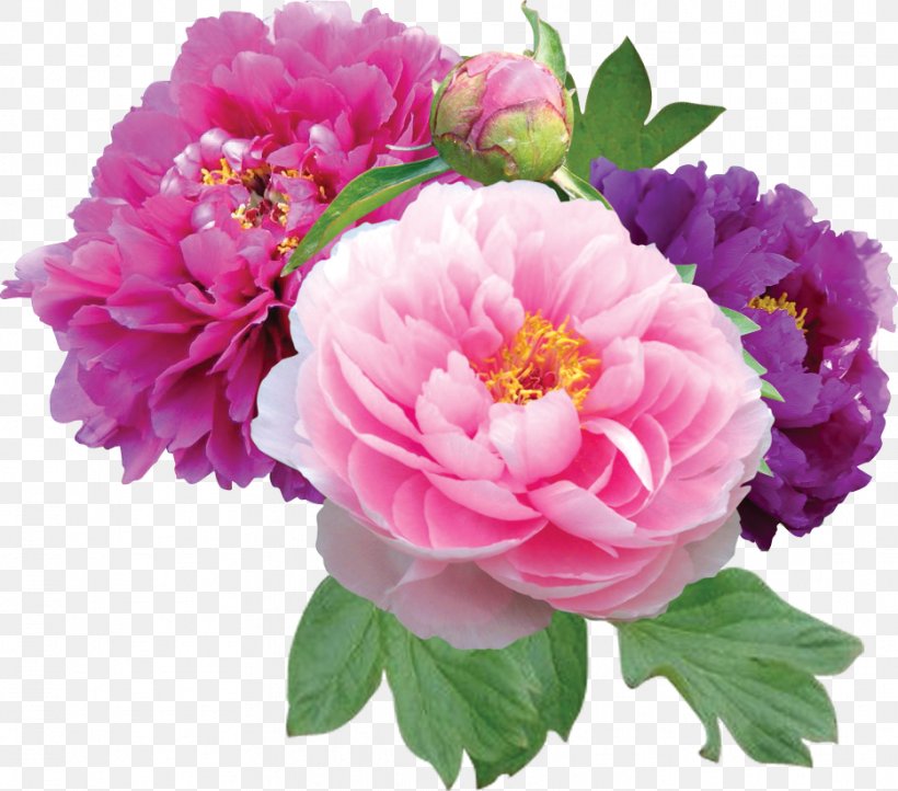 Peony Peonies Flower Shop Clip Art, PNG, 933x822px, Peony, Annual Plant, Artificial Flower, Black Rose, Color Download Free