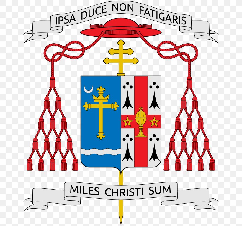 Coat Of Arms Heraldry Vatican City Cardinal Catholicism, PNG, 667x768px, Coat Of Arms, Angelo De Donatis, Area, Artwork, Cardinal Download Free