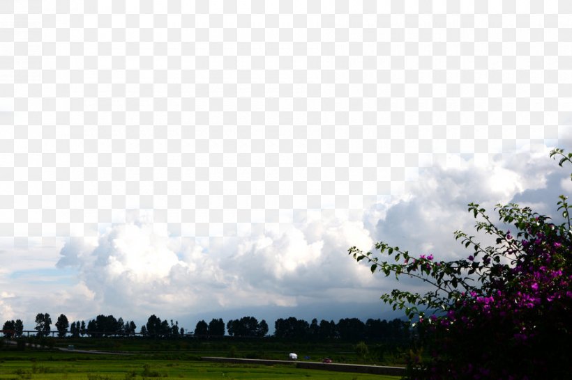 Cloud Cumulus Nebula, PNG, 900x600px, Cloud, Cumulus, Daytime, Designer, Energy Download Free