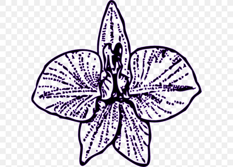 Larkspur Drawing Clip Art, PNG, 600x586px, Larkspur, Artwork, Black And White, Butterfly, Drawing Download Free