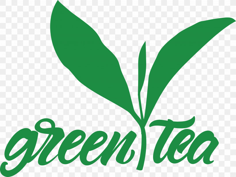 Leaf Plant Stem Logo Line Tree, PNG, 5550x4175px, Leaf, Biology, Geometry, Line, Logo Download Free
