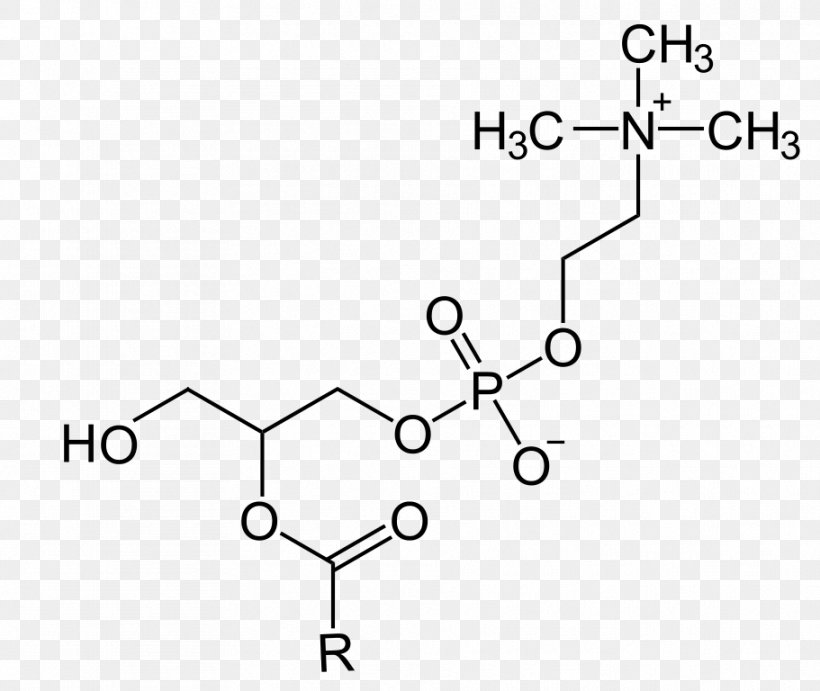 Lysophosphatidylcholine Glyceride Phosphocholine Phosphatidylserine Glycerol, PNG, 911x768px, Lysophosphatidylcholine, Area, Auto Part, Black And White, Choline Download Free