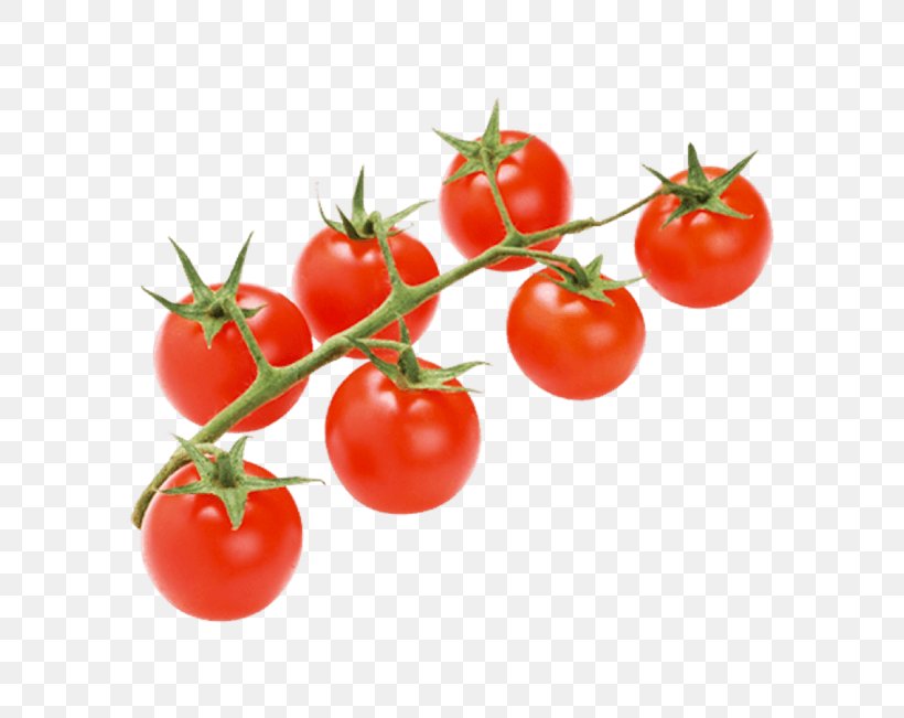 Plum Tomato Bush Tomato Tomato Juice Fruit, PNG, 650x651px, Plum Tomato, Bush Tomato, Cherries, Cherry, Cherry Tomato Download Free