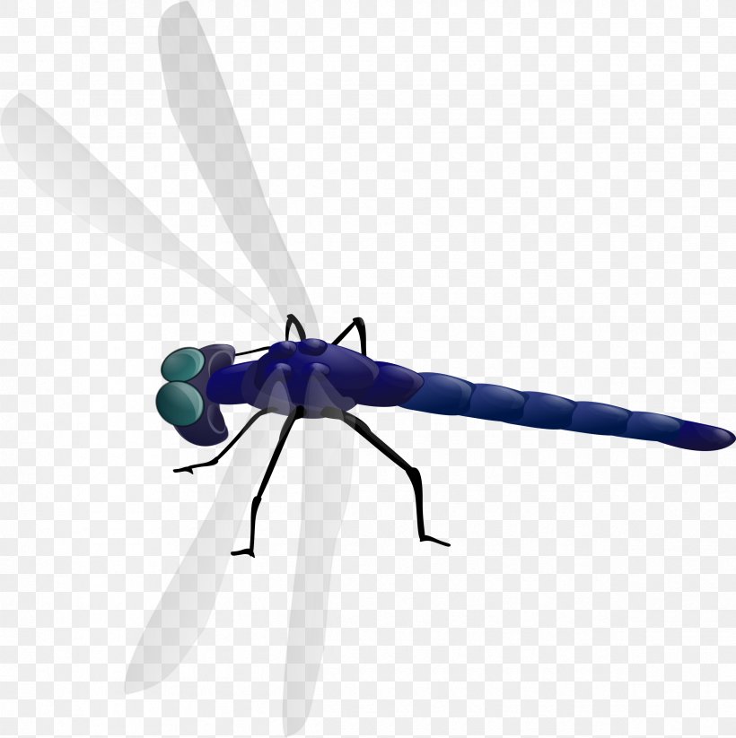 Dragonfly Insect Clip Art, PNG, 2390x2400px, Dragonfly, Animation, Arthropod, Blog, Dragonflies And Damseflies Download Free