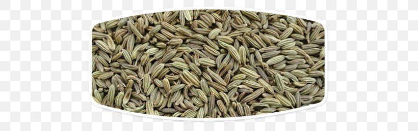 Fennel Seed Oil Food Spice, PNG, 500x258px, Fennel, Commodity, Cumin, Essential Oil, Extract Download Free