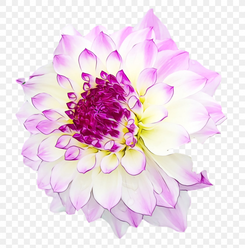 Floral Design, PNG, 1420x1440px, Watercolor, Annual Plant, Biology, Chrysanthemum, Cut Flowers Download Free