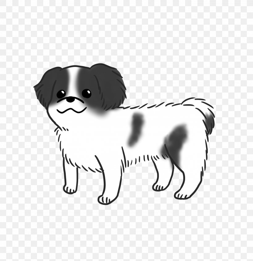 Dog Breed Puppy Japanese Chin Companion Dog Toy Dog, PNG, 2756x2846px, Dog Breed, Black And White, Breed, Breed Group Dog, Carnivoran Download Free