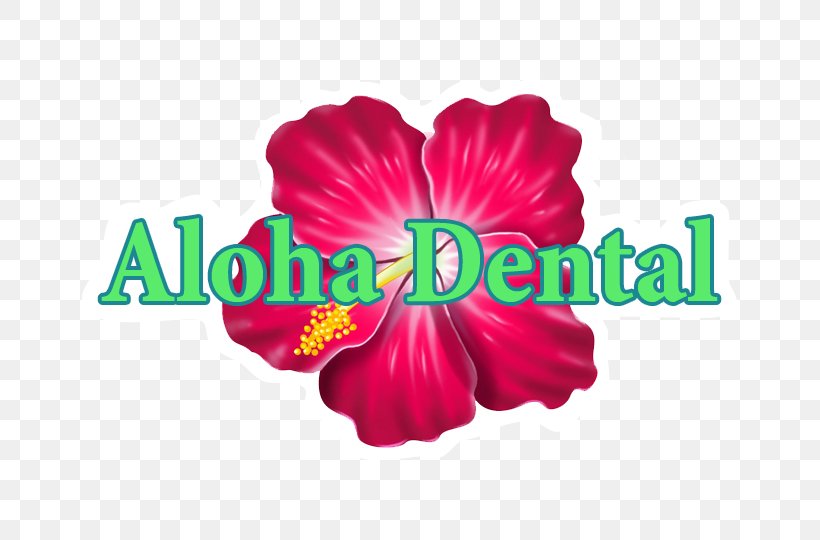 Pink Flower Cartoon, PNG, 720x540px, Rosemallows, Artificial Flower, Flower, Hawaii, Hawaiian Hibiscus Download Free