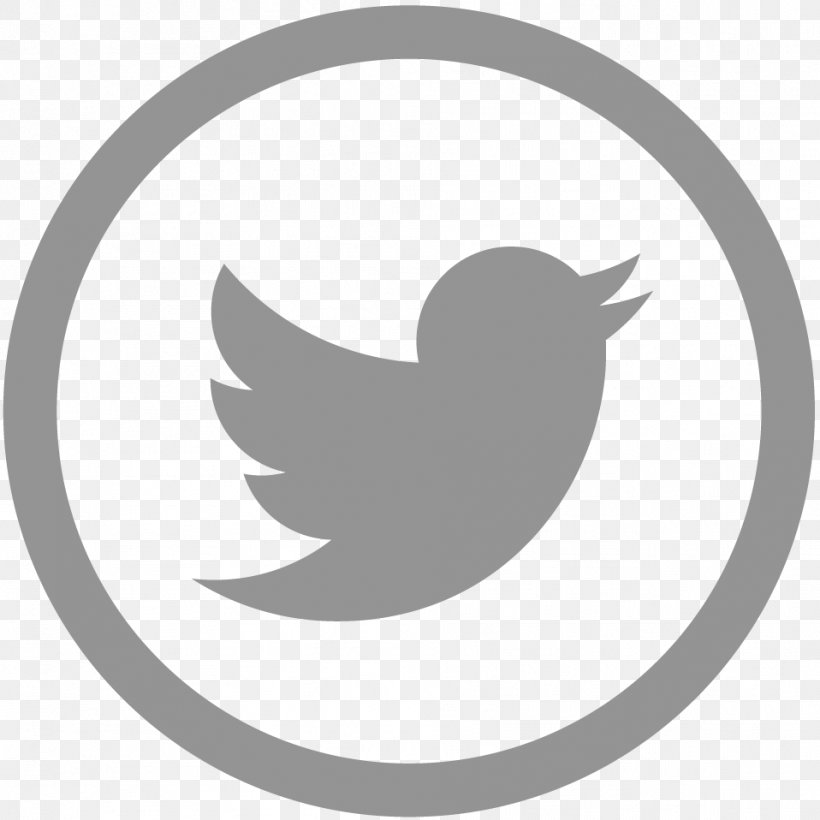 Social Media United States Twitter Instagram Application Programming Interface, PNG, 958x958px, Social Media, Application Programming Interface, Beak, Bird, Black And White Download Free